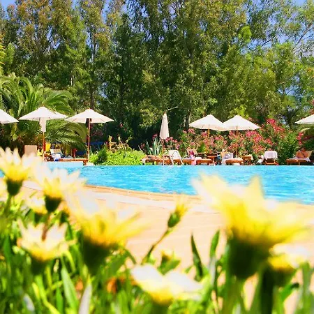 Tui Magic Life Sarigerme 5*